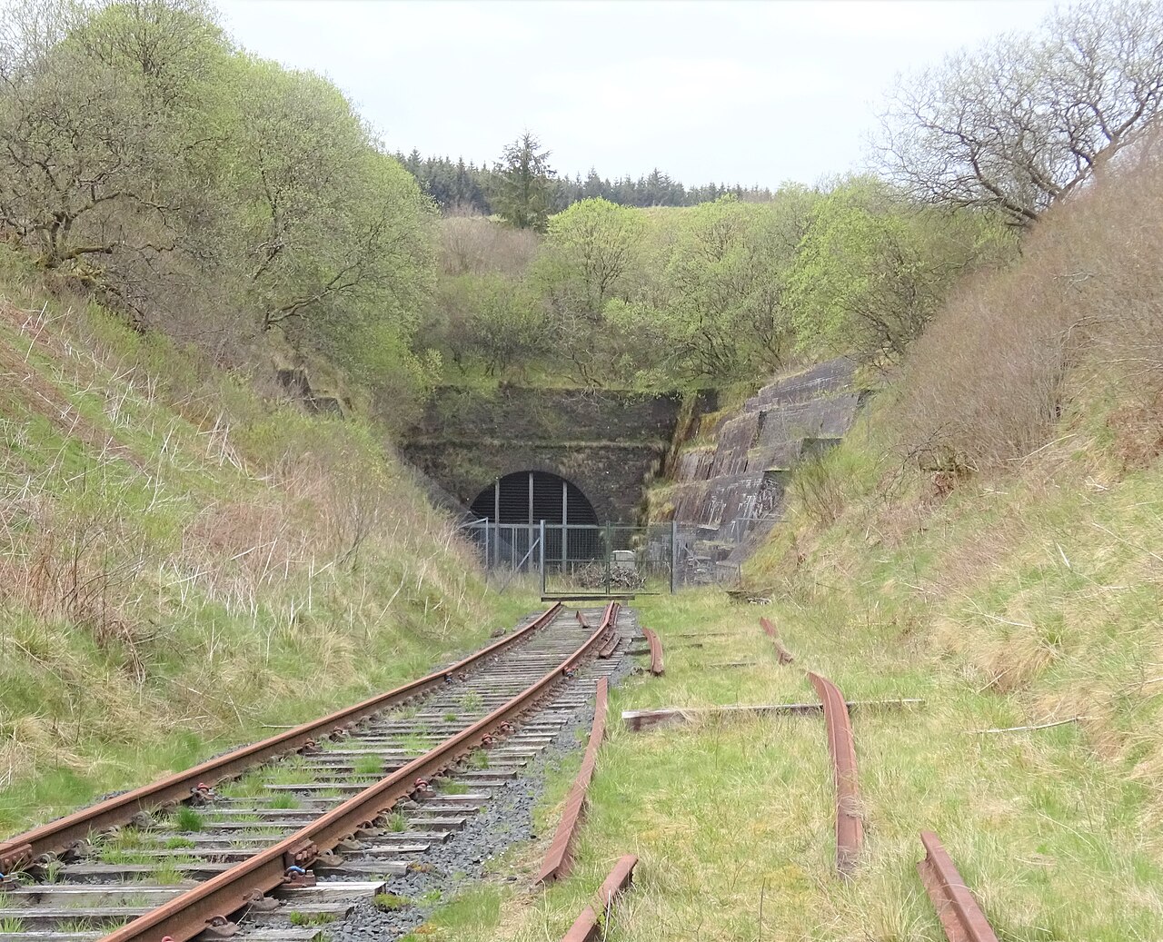 Railway track approaching Whitrope Tunnel